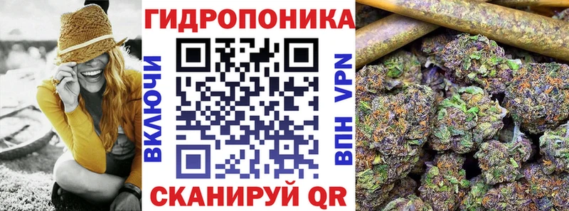 Каннабис OG Kush  Верхотурье 